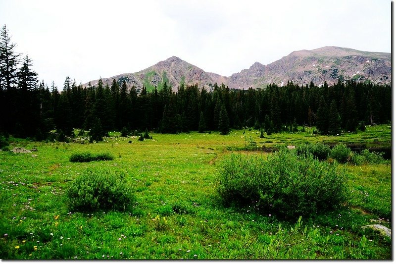 Chief Mountain from the third meadow