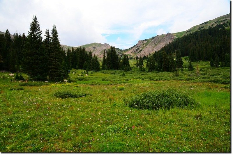 Eccles Pass from the 3rd meadow 1