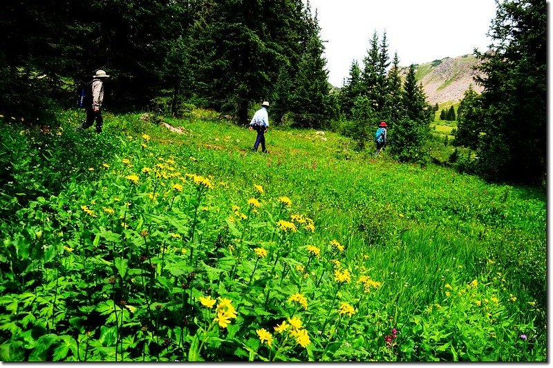 Wildflowers blooming along the trail (21)