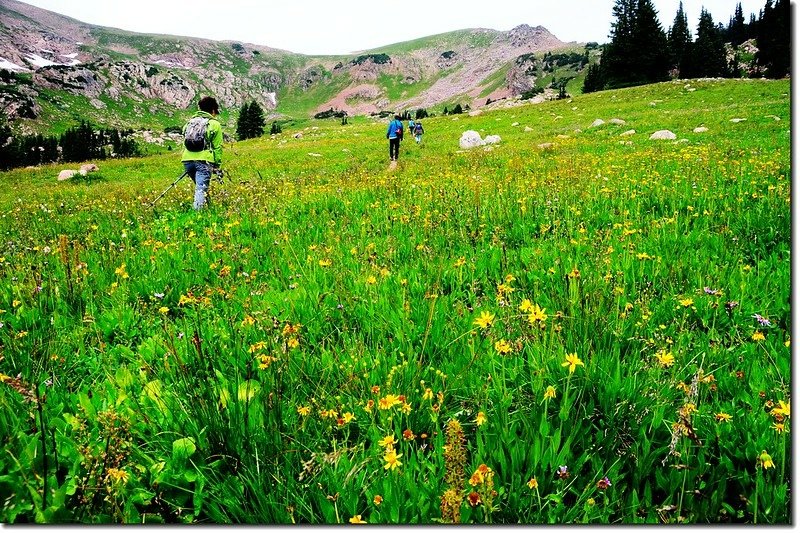 Wildflowers blooming along the trail (2)