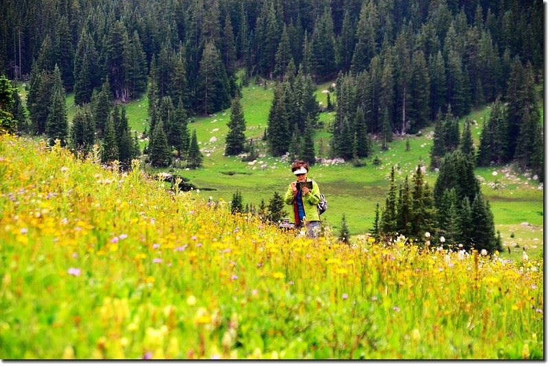 Wildflowers blooming along the trail (8)