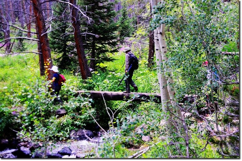 Crossing log bridge at Meadow Creek 3