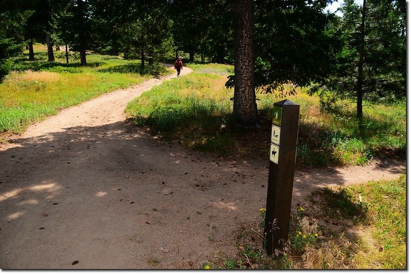 West Ridge Trail&amp; Green Bear Trail junction