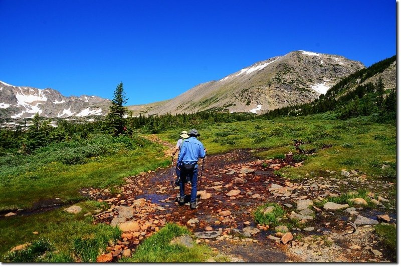 Damp、open areas near the Arapaho Glacier Trail split 2