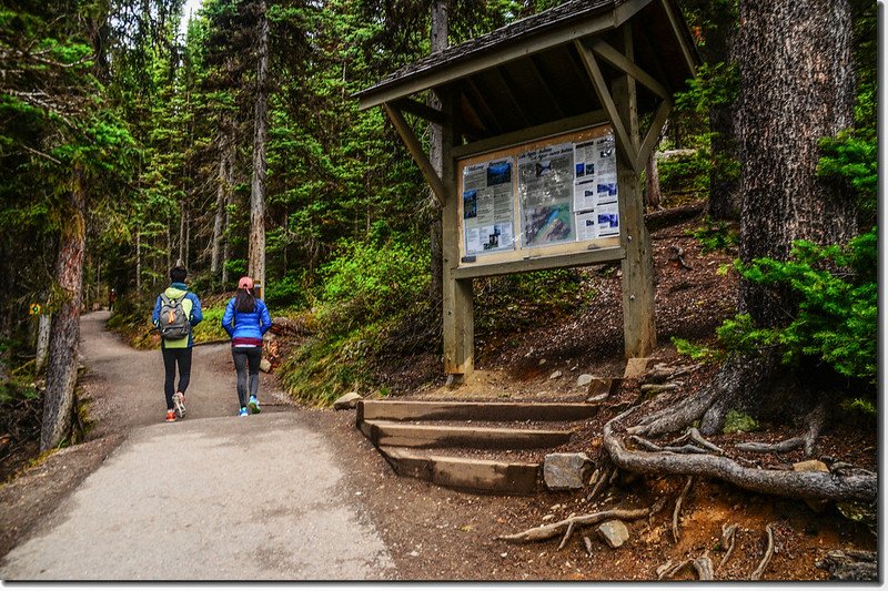 Lake Agnes Teahouse trailhead