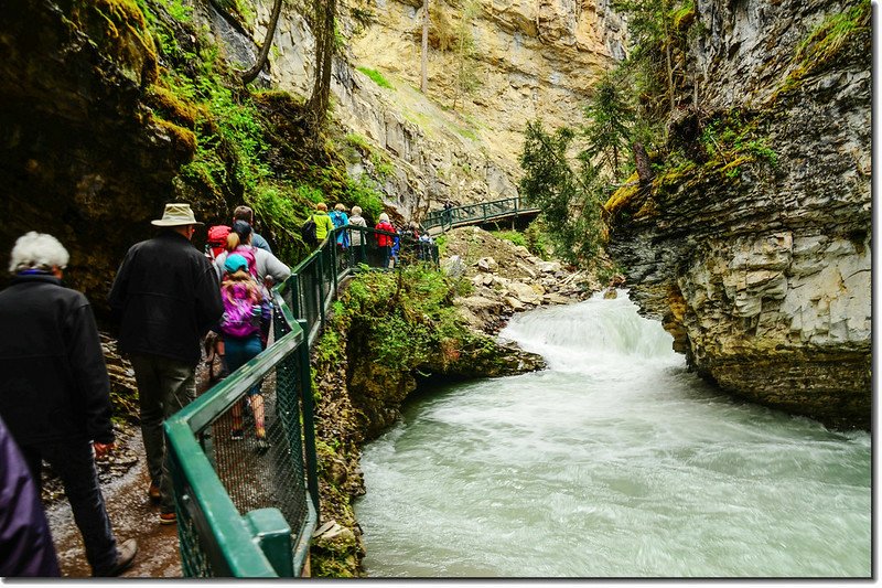 Johnston Canyon Trail (6)