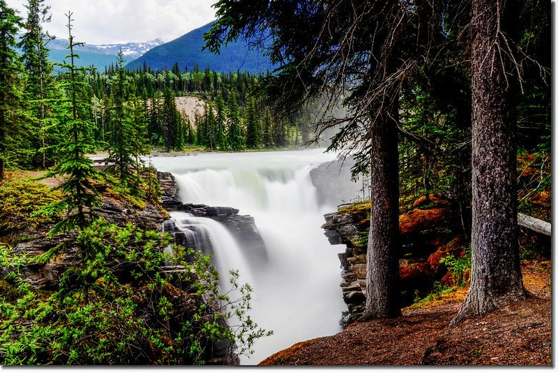 Athabasca Falls  (4)