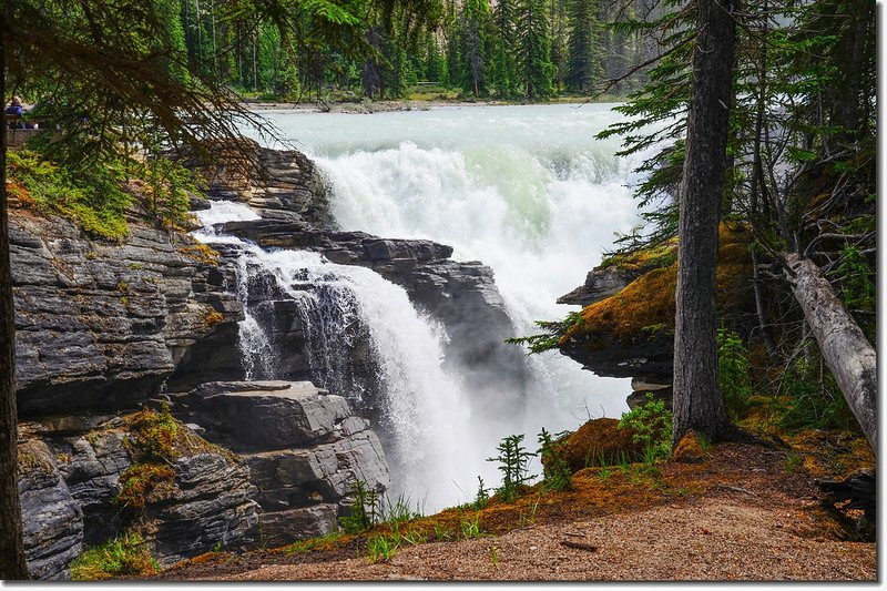 Athabasca Falls  (15)