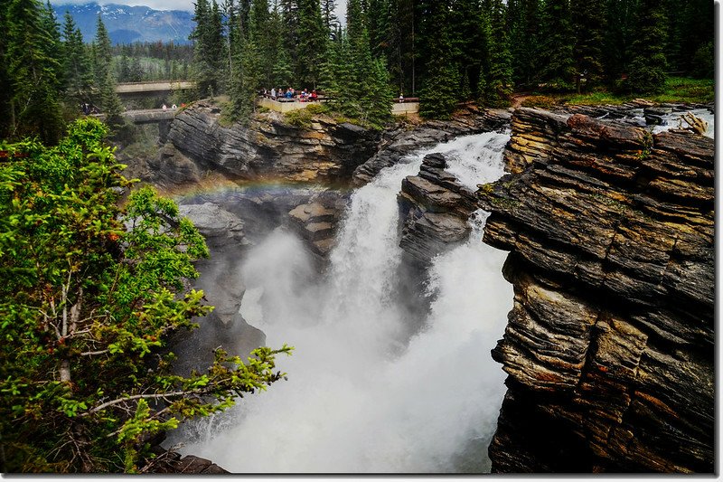 Athabasca Falls  (8)