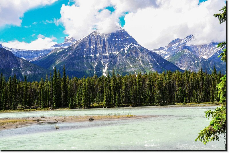 The Athabasca River and a Mountain View (Jasper National Park) 7