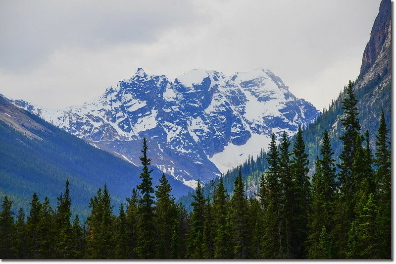 Mount Xerxes from picnic area along Icefield Parkway