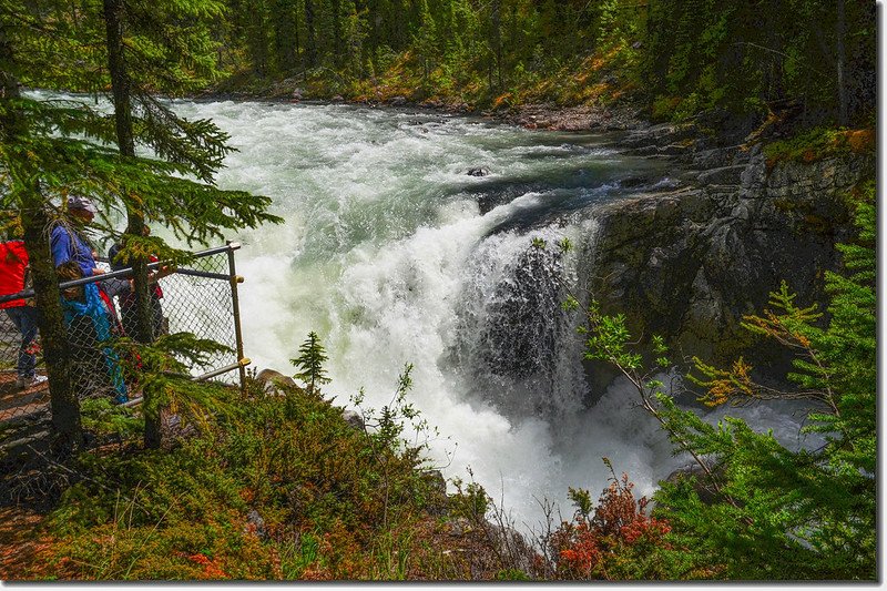 Sunwapta Falls  (6)