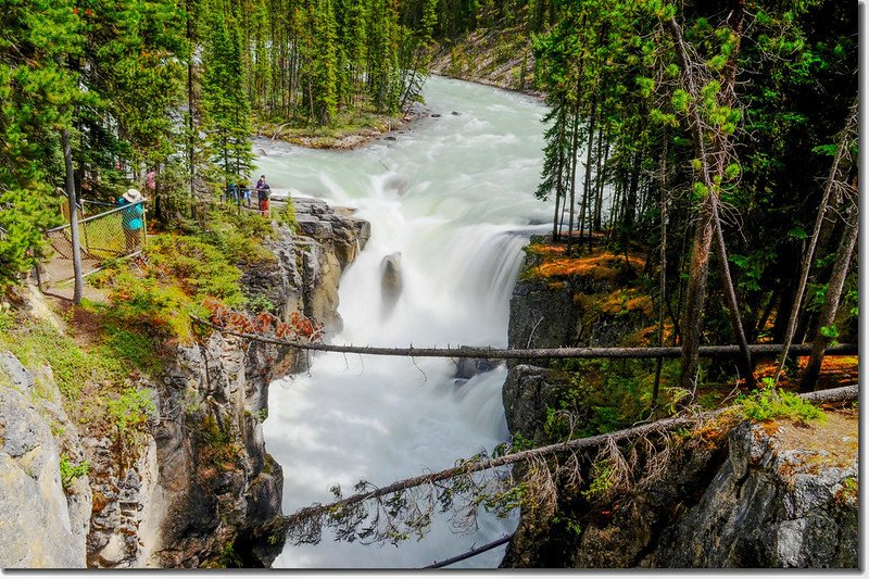 Sunwapta Falls  (1)