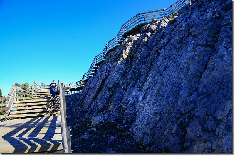 The boardwalk trails on the ridge