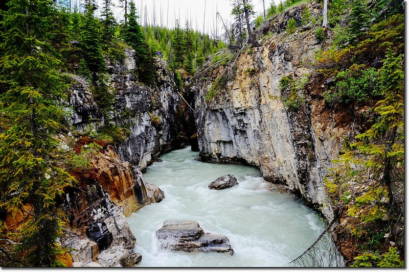 Marble Canyon, Kootenay National Park 1