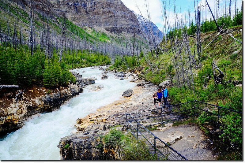 Marble Canyon, Kootenay National Park 7