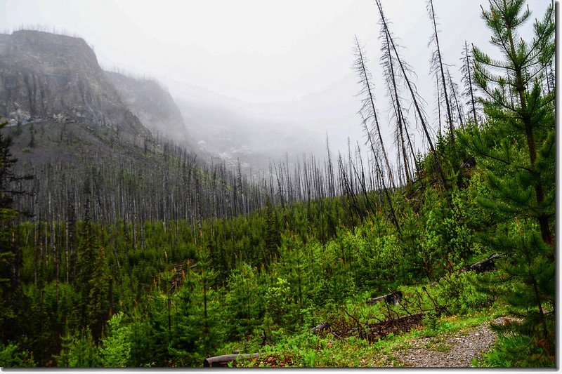 Marble Canyon Trail 2