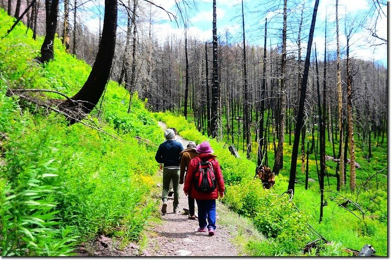 Sun Point Nature Trail (6)