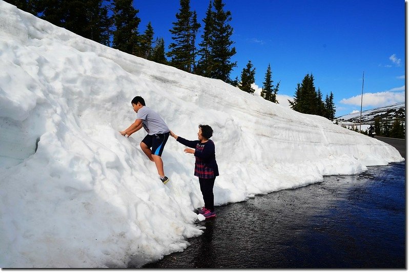 Snow wall along Trail Ridge Road 4