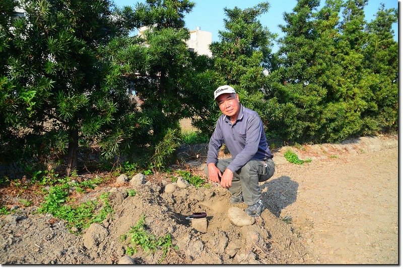 菁埔土地調查局圖根點