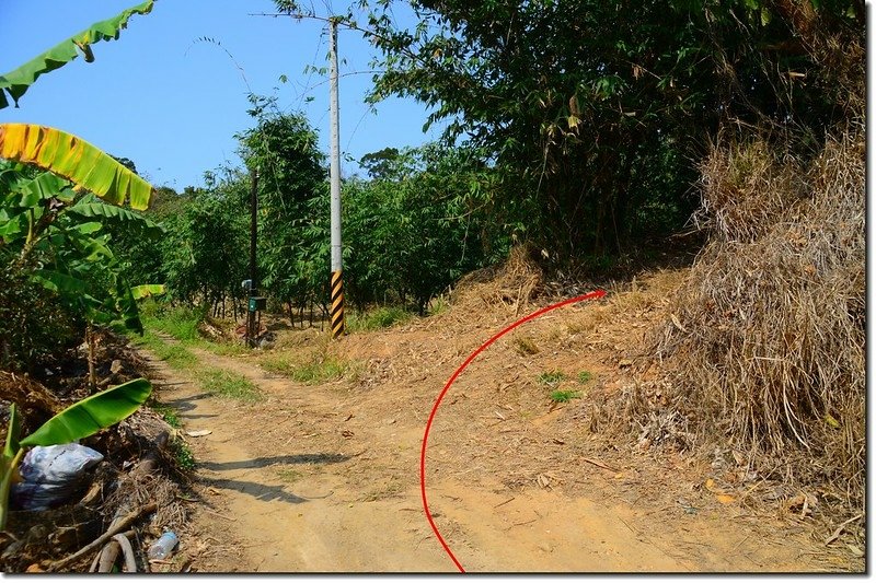 土地公坑登山步道