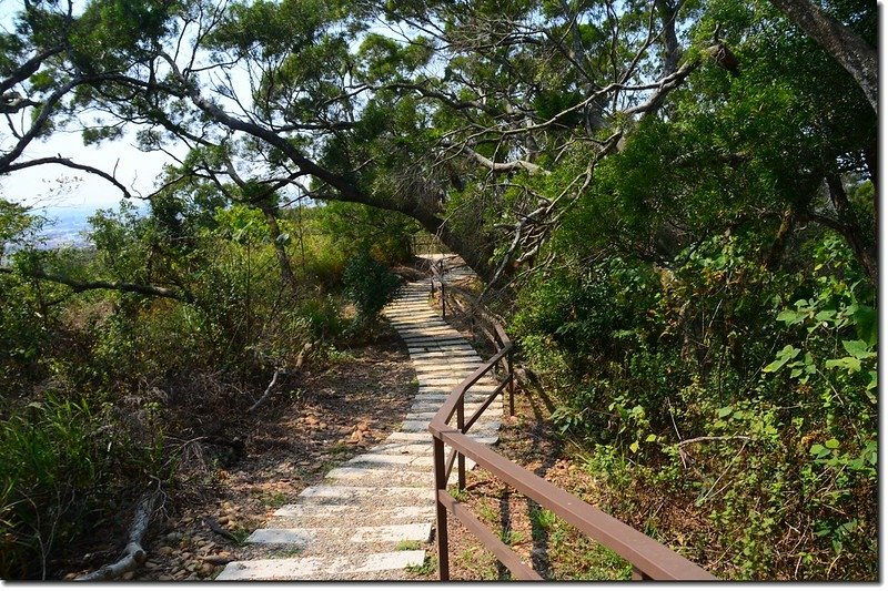 土地公坑諾諾森林登山步道 2