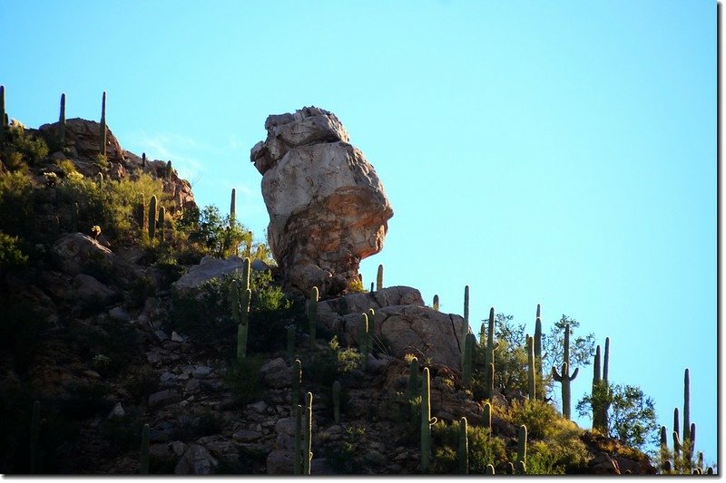 Special rock on the slope