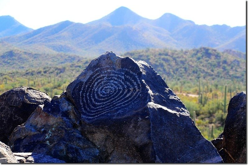 Signal Hill Petroglyphs, Saguaro National Park (West) 1