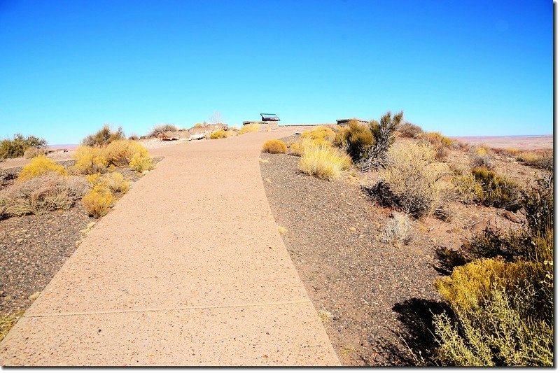 Pintado Point, Petrified Forest National Park