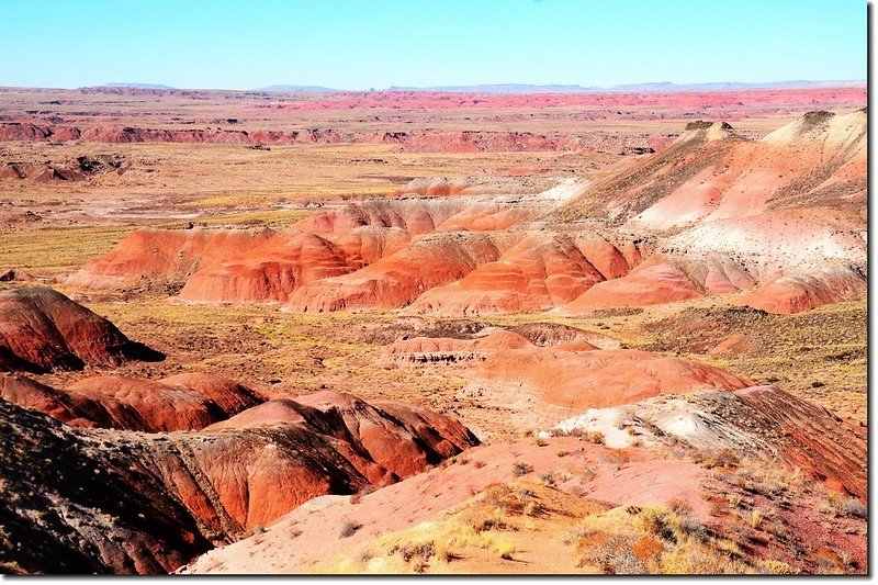 Painted Desert From Nizhoni Point