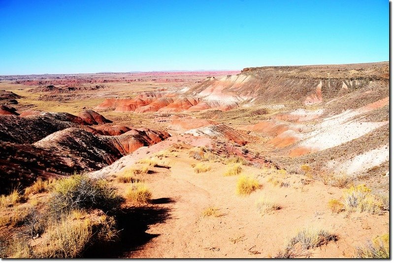 Painted Desert From Nizhoni Point 1