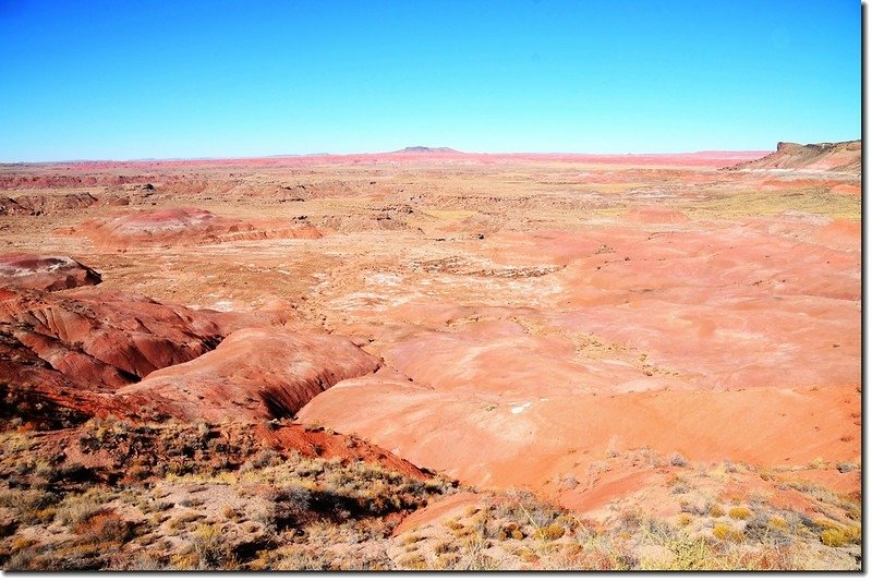 Painted Desert From  Whipple Point