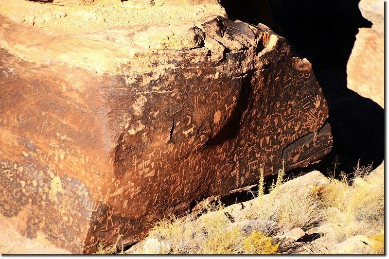 Newspaper Rock, Petrified Forest National Park 1