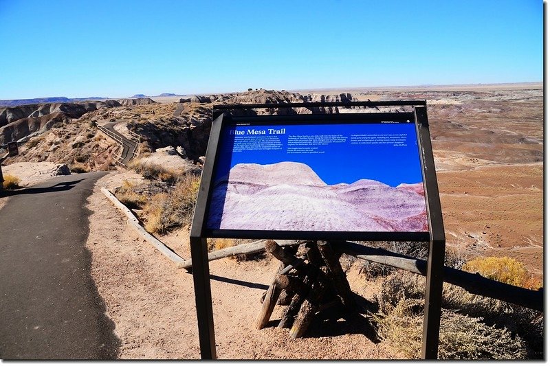 Blue Mesa Trail, Petrified Forest National Park 3