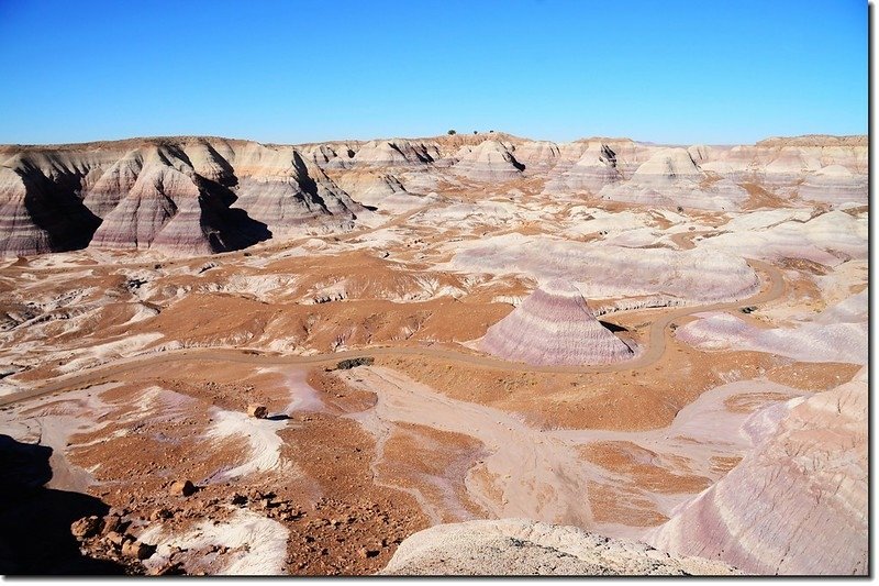 Blue Mesa Trail, Petrified Forest National Park 5