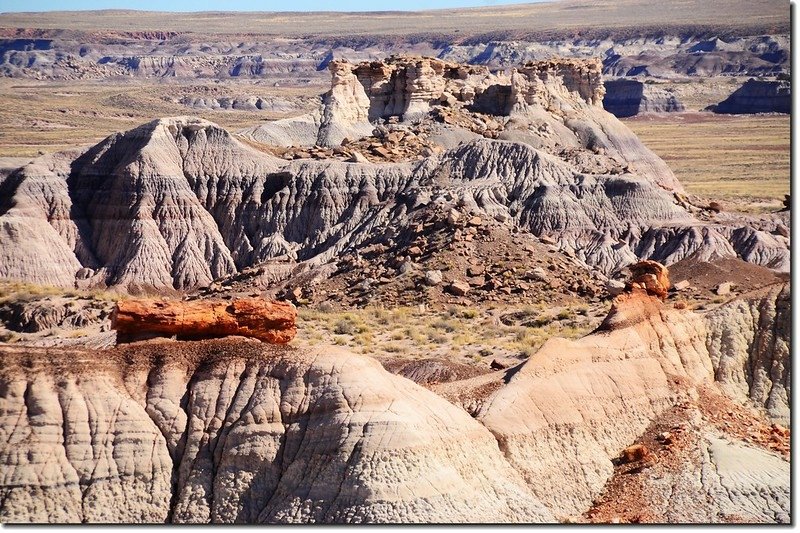 Blue Mesa Trail, Petrified Forest National Park 1