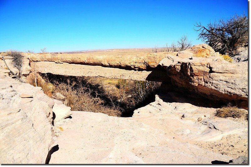 Agate Bridge, Petrified Forest National Park