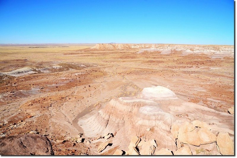 Jasper Forest, Petrified Forest National Park 2