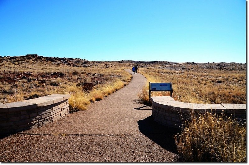 Agate House  Trail, Petrified Forest National Park 1