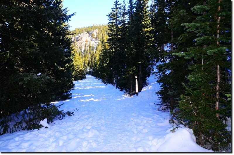 The route crossed the Old Squaw Pass Rd. 1