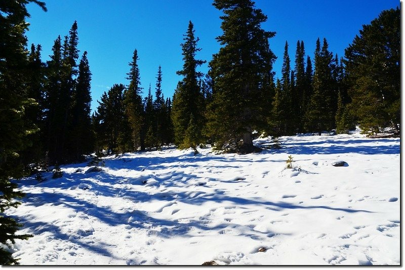 The saddle between Papoose &amp; Chief Mountain