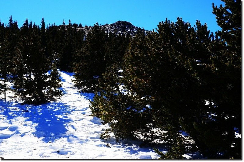 Looking up onto Chief&apos;s summit from the viewpoint