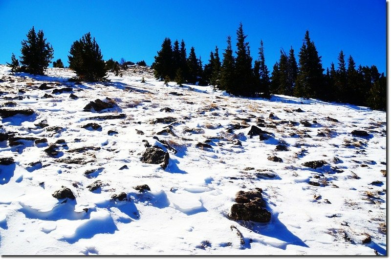 The rocky summit seen from treeline