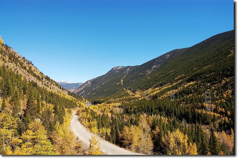 Full autumn colors(aspen in Guanella Pass) 5