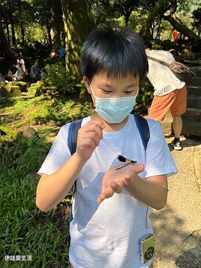 台北陽明山》從第一停車場 前往 前山公園》沿途風景老少咸宜半