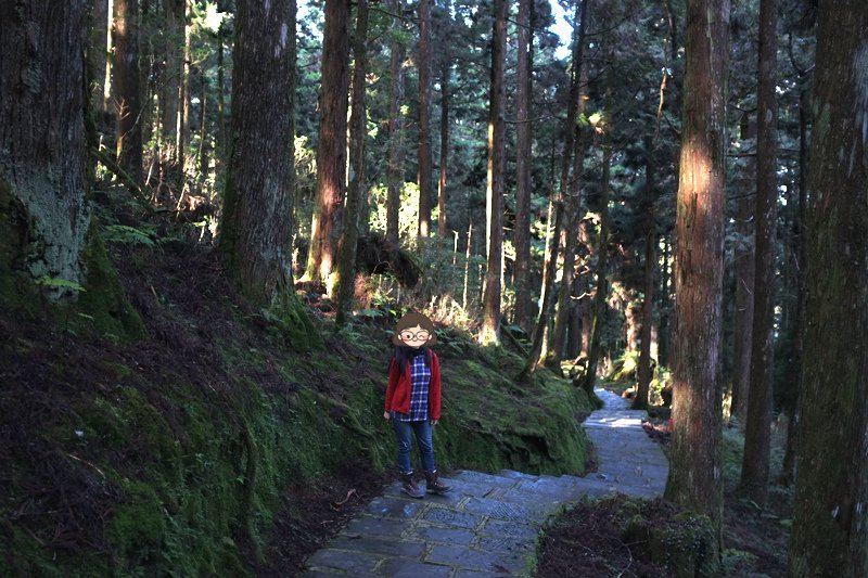 阿里山看日出祝山車站