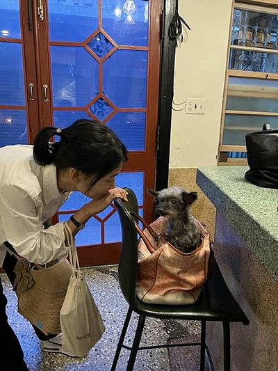 【真實分享】珍珠吃超級黑酵母+寵力沛（營養補充、精神活力好）