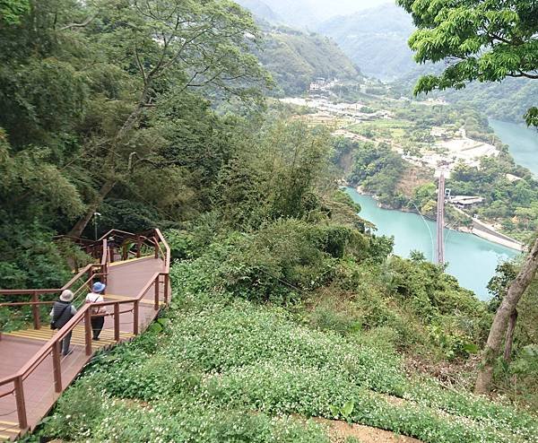 0401_03新溪口吊橋05.JPG