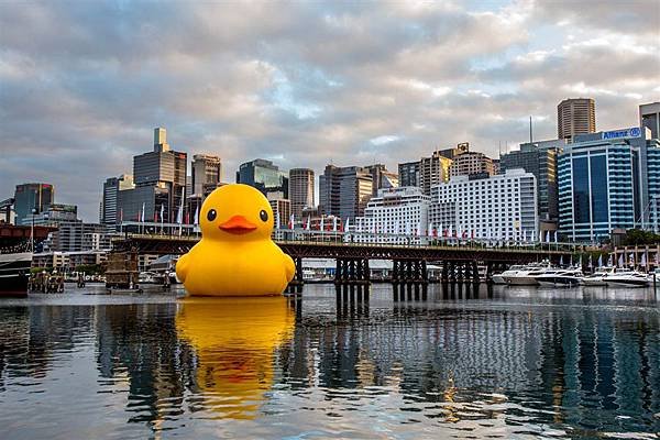 高雄黃色小鴨巨鴨橡皮鴨Rubber duck,荷蘭設計師霍夫曼設計圖解說 (必看景點,必吃,紀念品,陳菊,光榮碼頭,Florentijn Hofman,藝術展示空間)