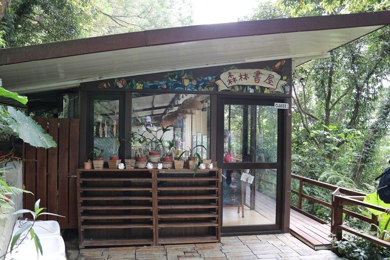 ▌新竹景點▌森林鳥花園。樹屋探險、沙坑、戲水池、多道刺激溜滑梯…屬於孩子的森林遊樂園